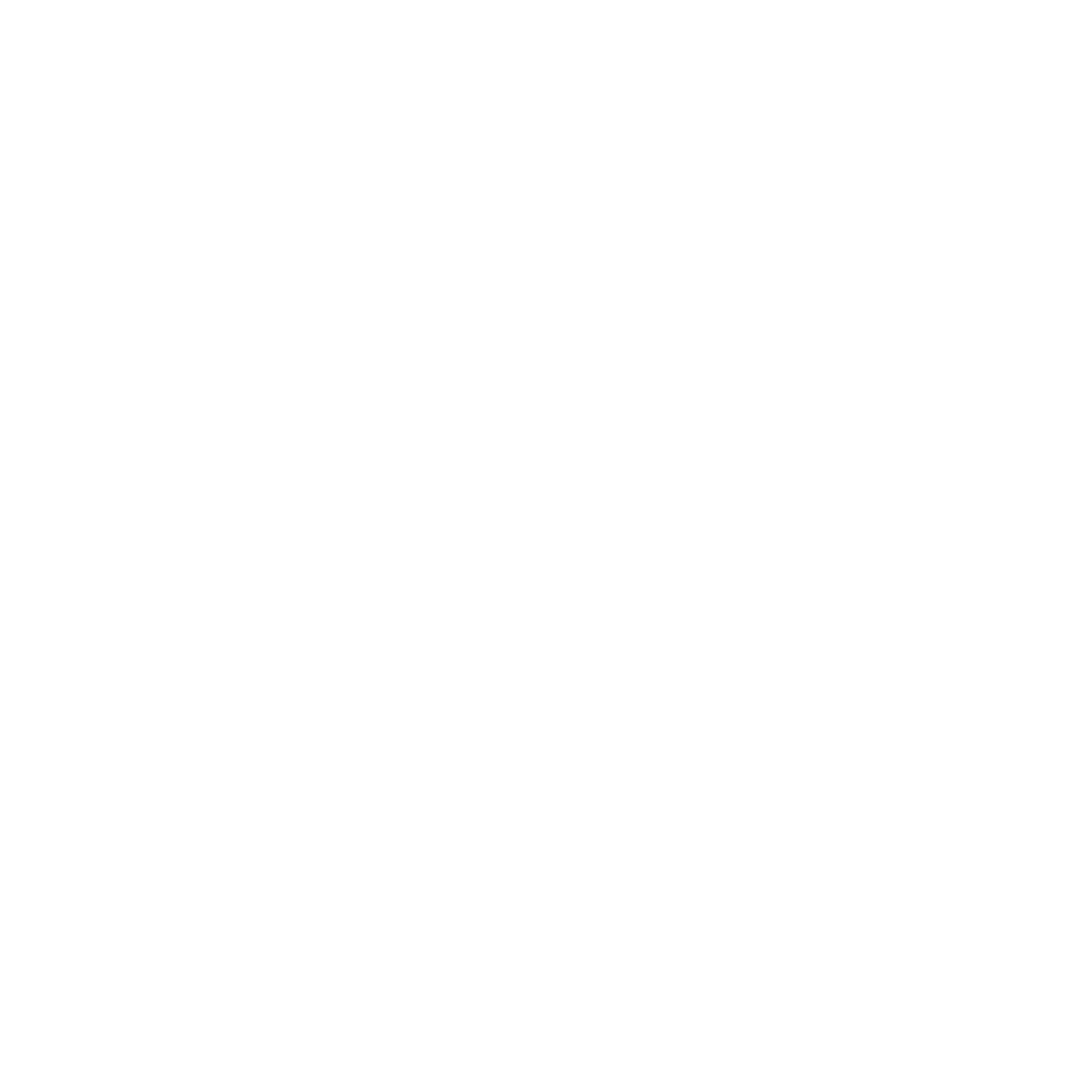 Logo_BTX Branco_commargem